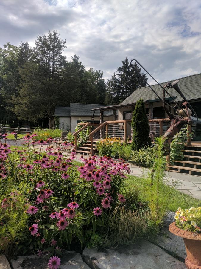 מלון איתקה New Park Retreat מראה חיצוני תמונה
